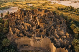 أطلال طينية محصنة تحيط بها أشجار نخيل في النيجر
