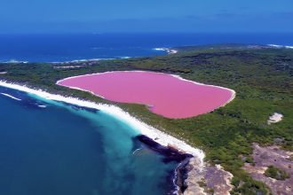 Luftaufnahme des Lake Hillier neben Wald und Südlichem Ozean auf Middle Island
