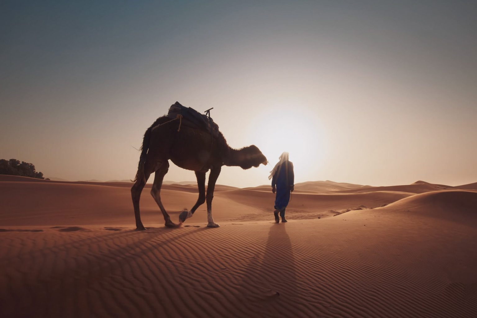 Dunas y paisajes de uno de los grandes desiertos del mundo
