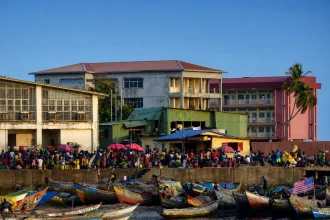 Paysage représentatif de la Guinée