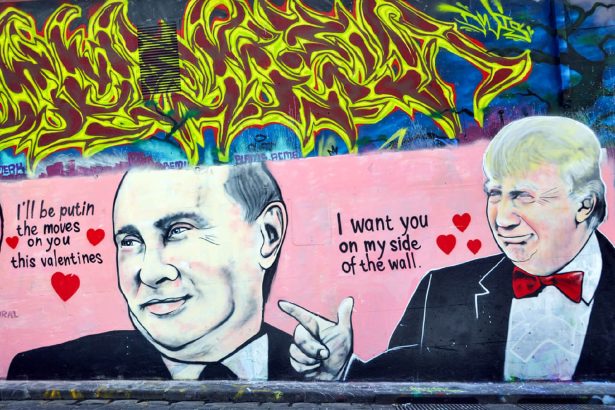 Fresques et œuvres de street art colorées dans un quartier urbain