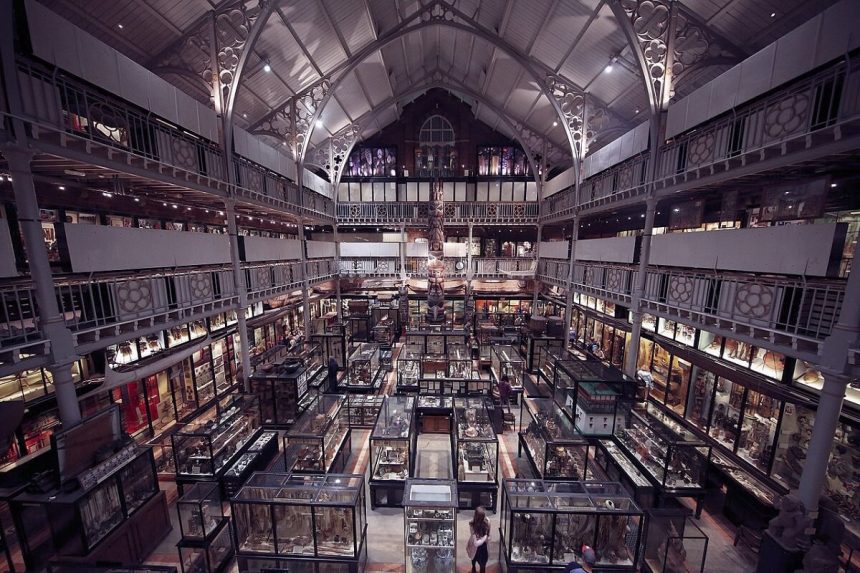 Vitrines denses et galeries superposées à l’intérieur du Pitt Rivers Museum d’Oxford