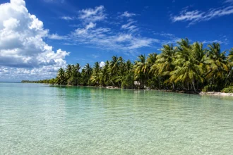 ヤシの木が連なる浅いラグーンと白い砂の岸辺