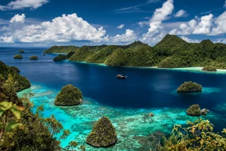 深い青の湾に浮かぶ緑の小島とサンゴ礁、中央を進む船