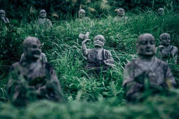 富山のふれあい石仏の里で草木の間に並ぶ風化した石の肖像像