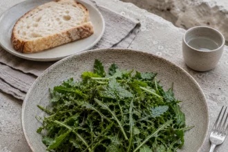 Kom mišanca met verschillende gekartelde groene bladeren en dunne stelen naast brood en water