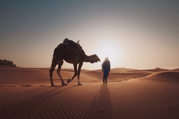 Uitgestrekt woestijnlandschap met zand en verre horizon