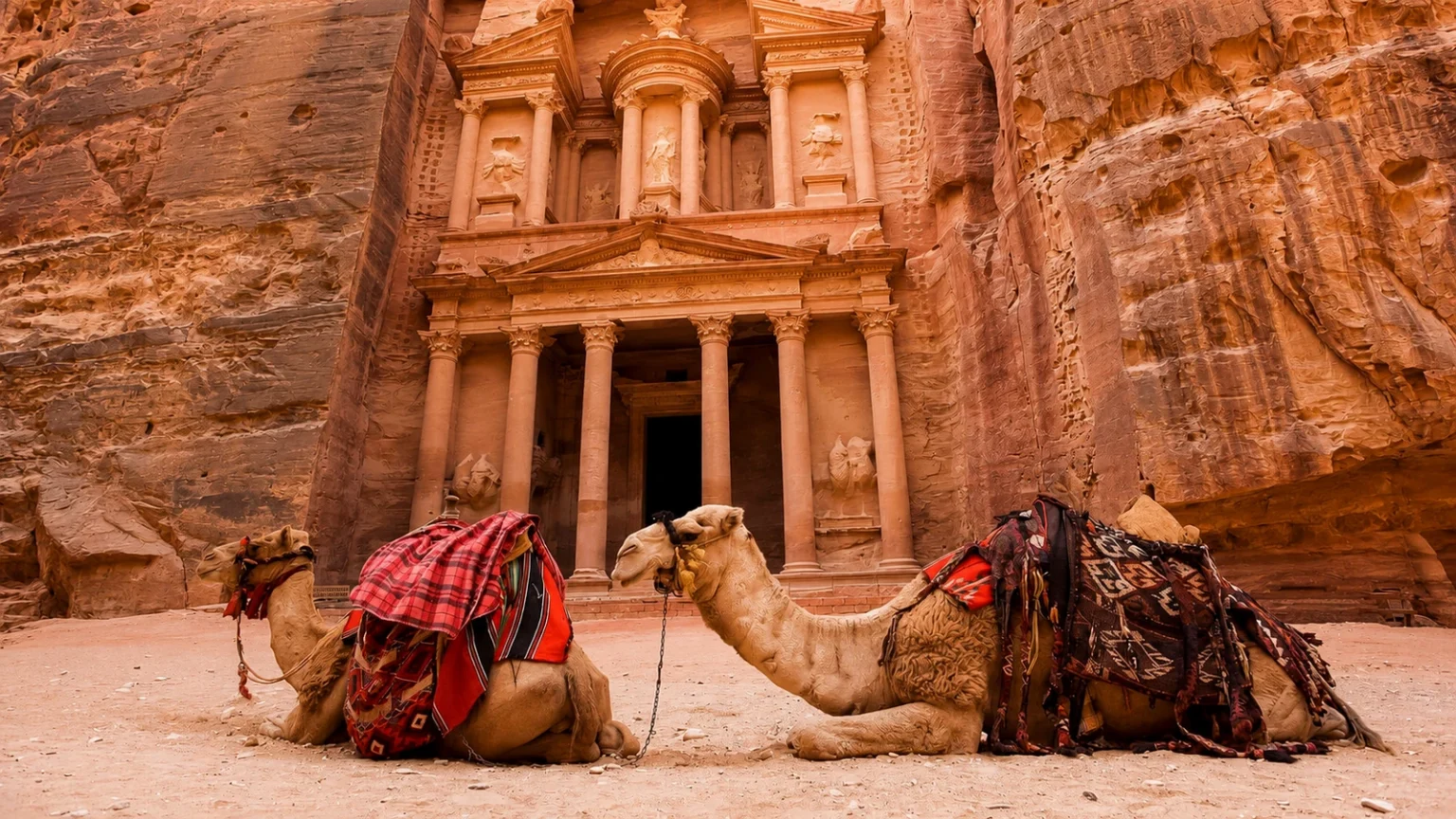 Два верблюда перед высеченной в красной скале Сокровищницей Петры