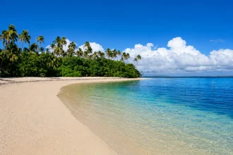 Peščana tropska plaža sa palmama i plitkim plavim morem na Tongi
