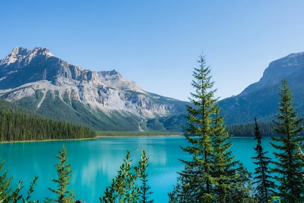 Kanadsko jezero u divljini