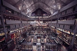 Guste vitrine i gornje galerije u muzeju Pitt Rivers u Oksfordu