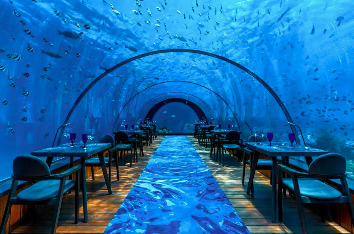 5.8 The Undersea Restaurant - Maldivene