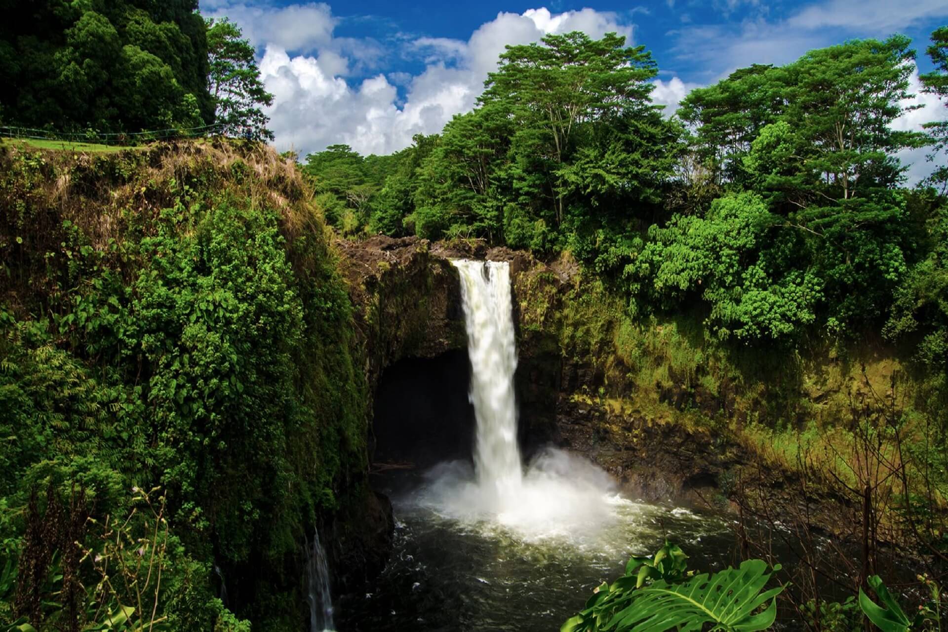 Sumpahan Yang Menakutkan Pengunjung Ke Hawaii