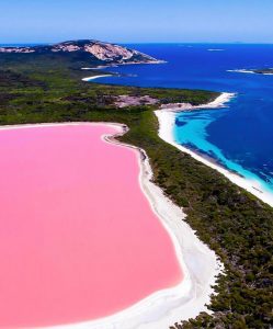 Um lago rosa que a ciência não pode explicar