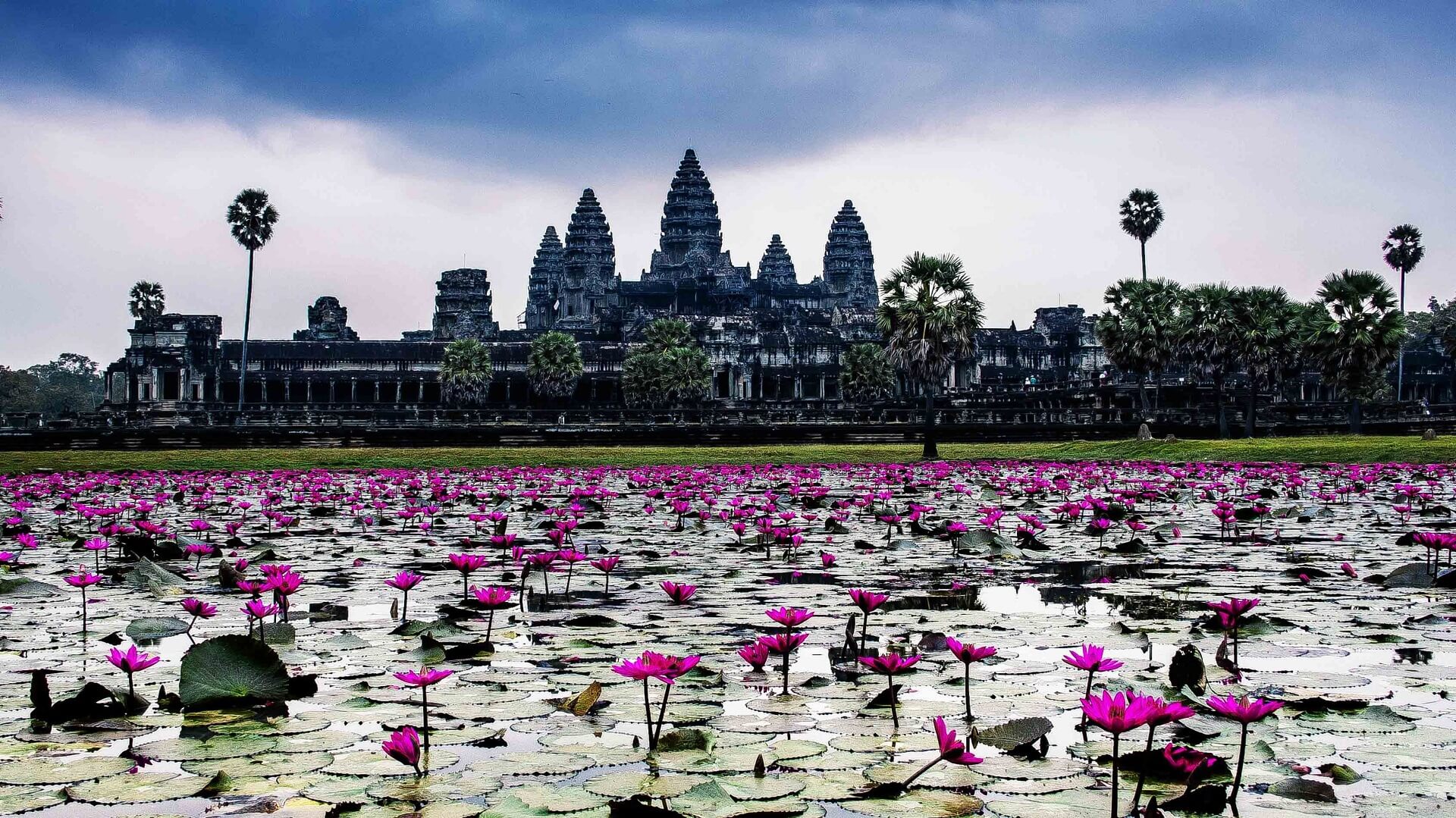 Angkor Wat 