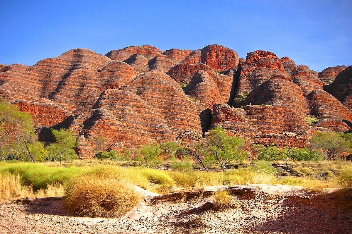 BUNGLE-BUNGLES-AUSTRALIA