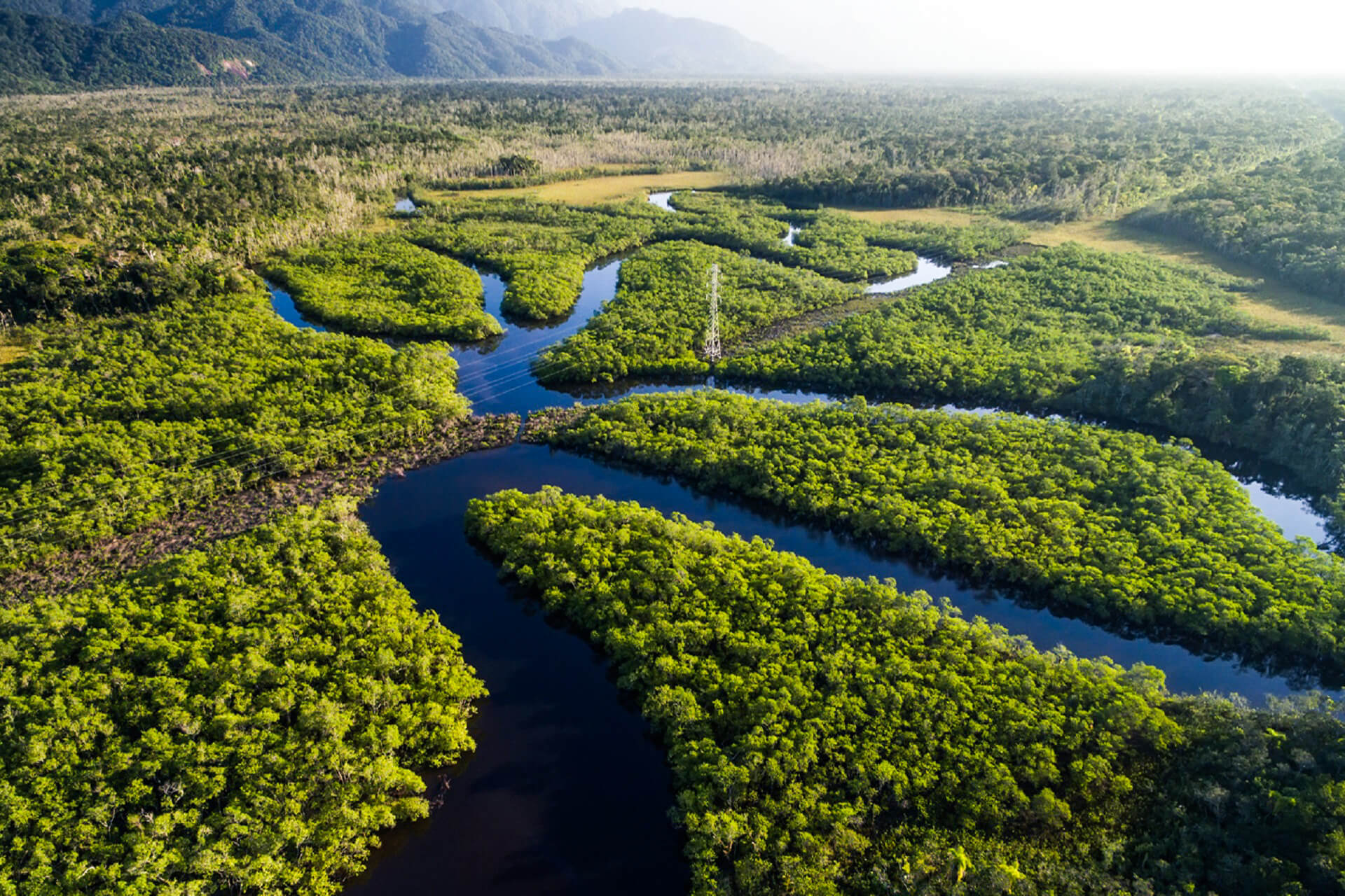 Amazonas strande, Brasilien