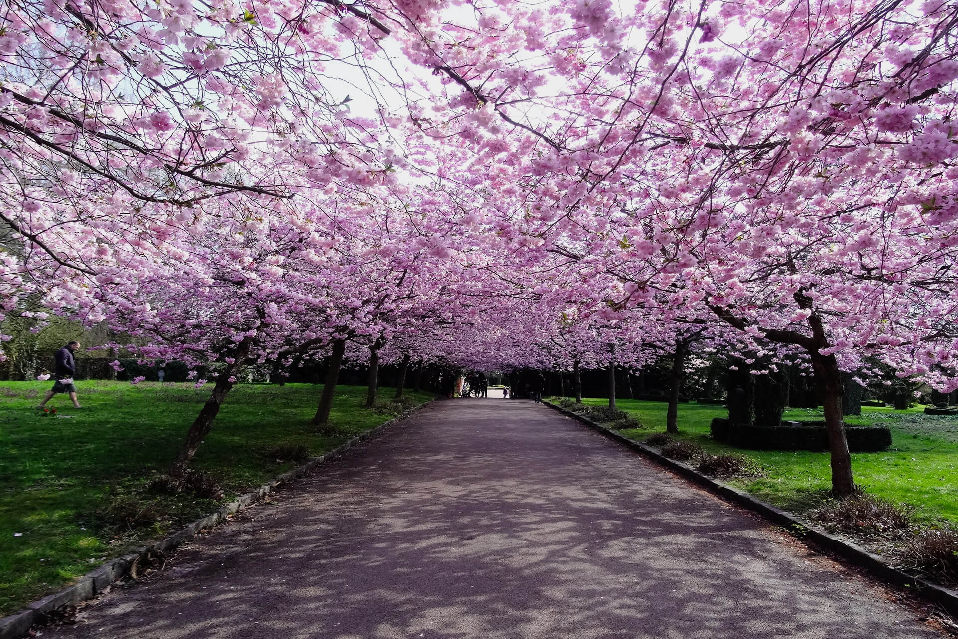 Cemetery in Copenhagen - Inexpensive Pleasure In Expensive Copenhagen