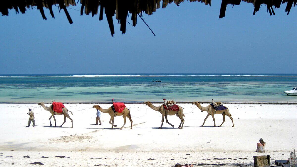 Mombasa – Safari Afrika dan pantai yang indah