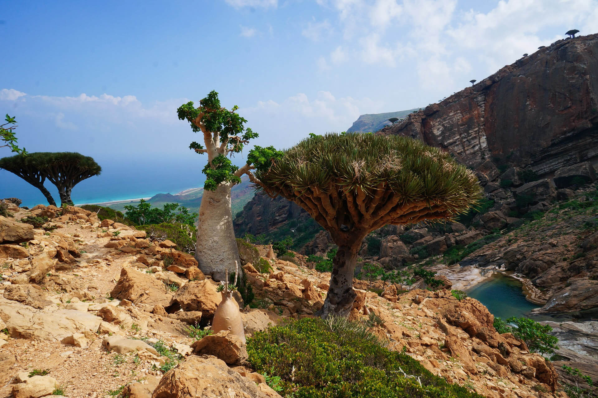 Socotra Island