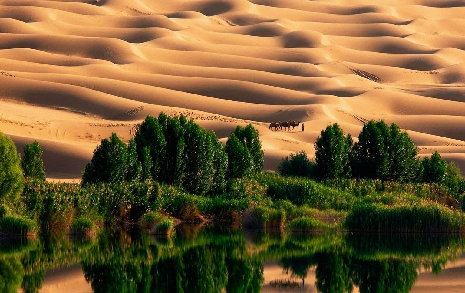 The Magic Of The Most Beautiful Deserts In The World (2022) Travel S Helper