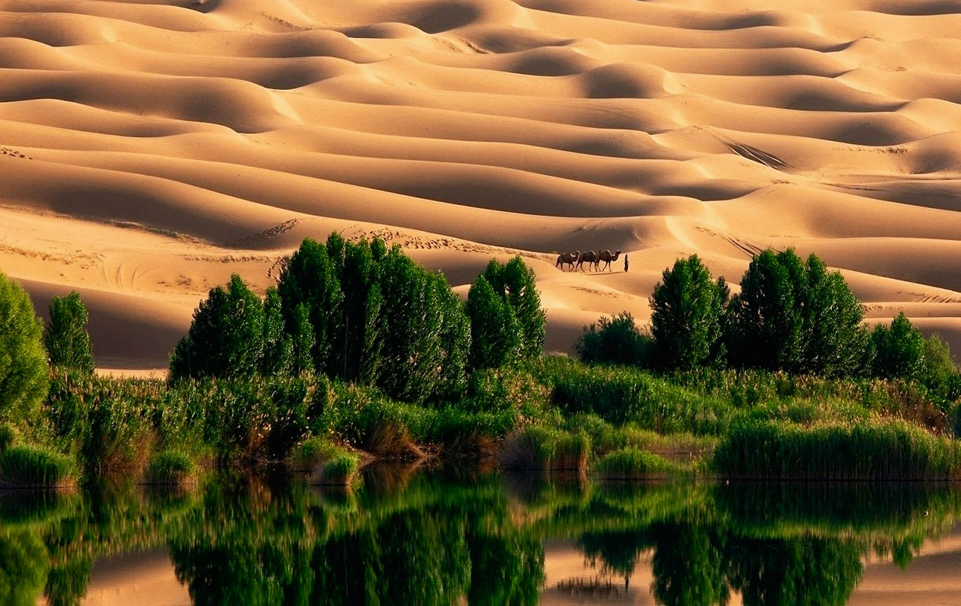 Taklamakan - The Magic Of The Most Beautiful Deserts In The World