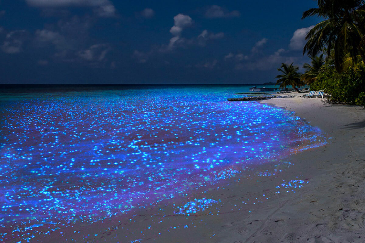 Het eiland Vaadhoo wordt geflitst door fluorescerende golven