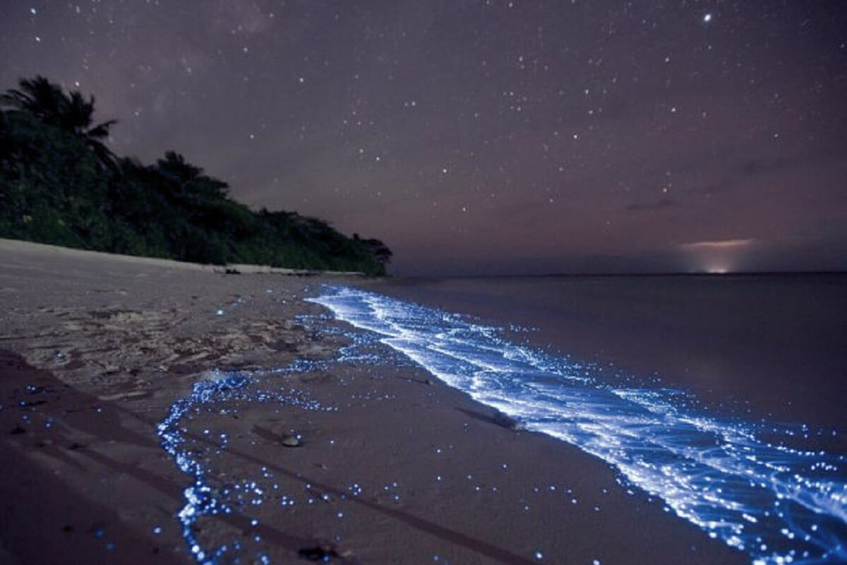 Het eiland Vaadhoo wordt geflitst door fluorescerende golven
