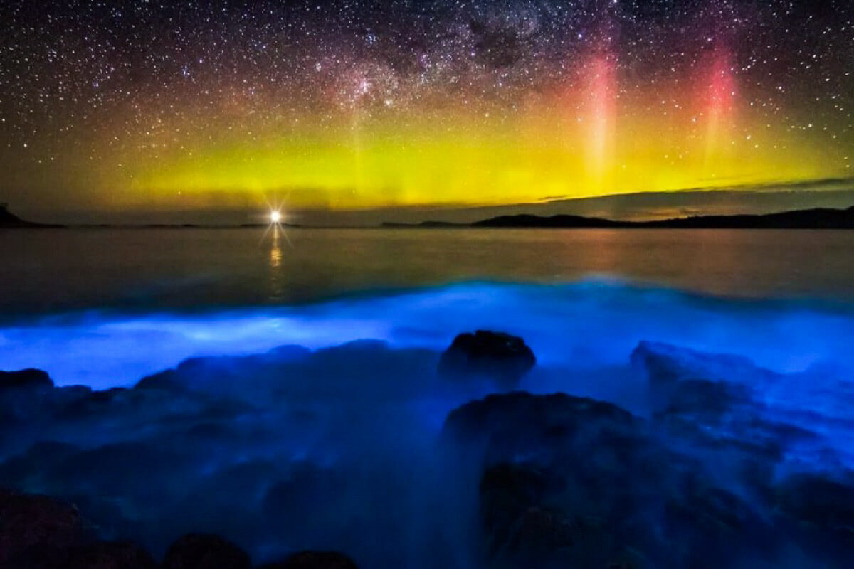 L'île de Vaadhoo est éclairée par des ondes fluorescentes