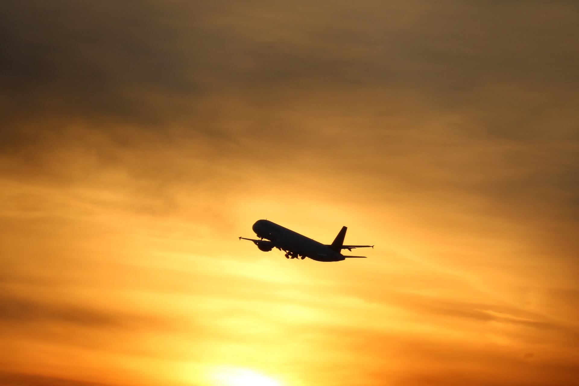 Ungewöhnliche Dinge, von denen Sie wahrscheinlich noch nie gehört haben - Reisen mit dem Flugzeug