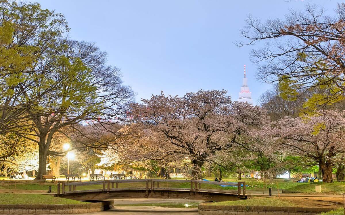 Yoyogi-parque-Tóquio