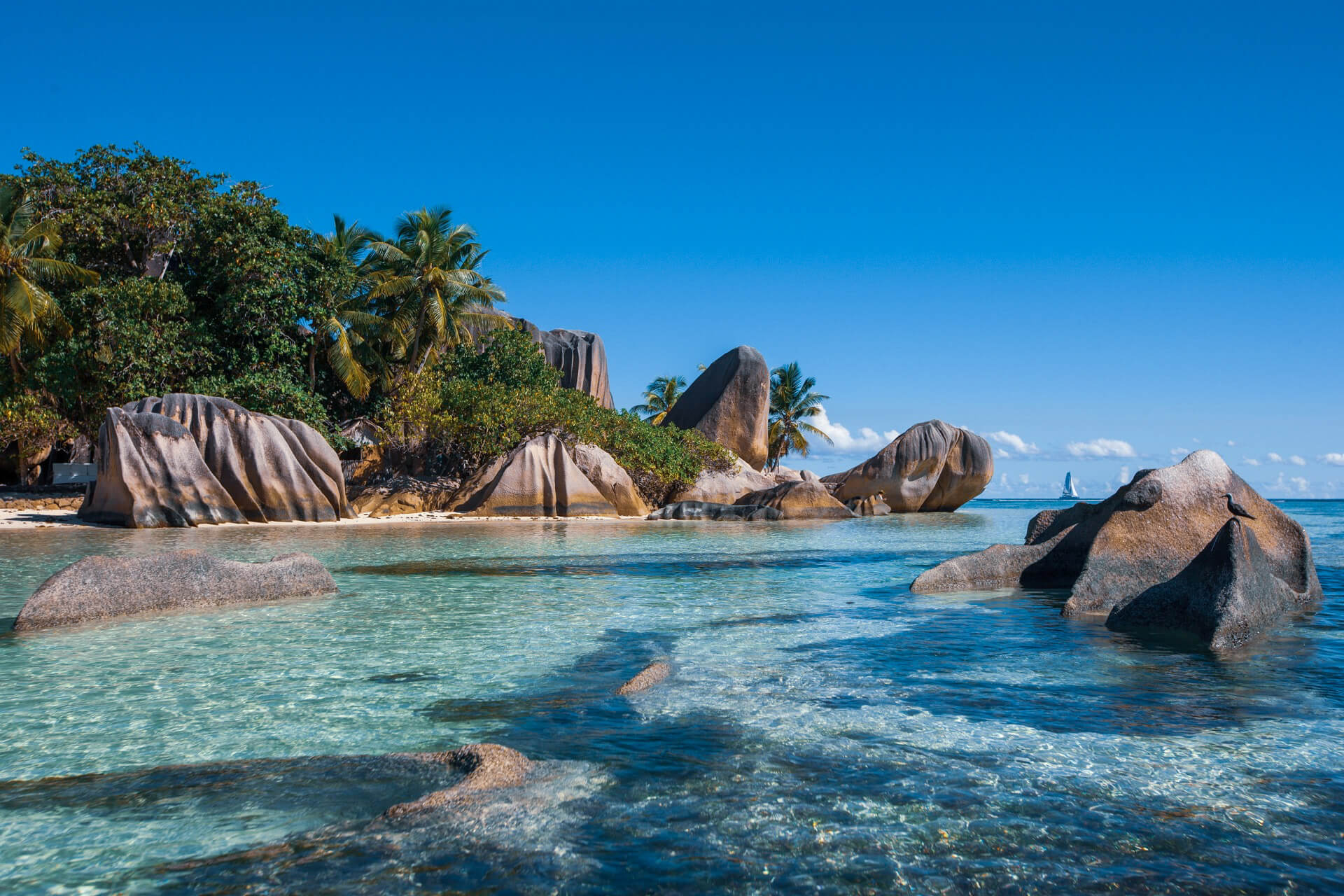 Gioiello delle Seychelles - La spiaggia più fotografata al mondo