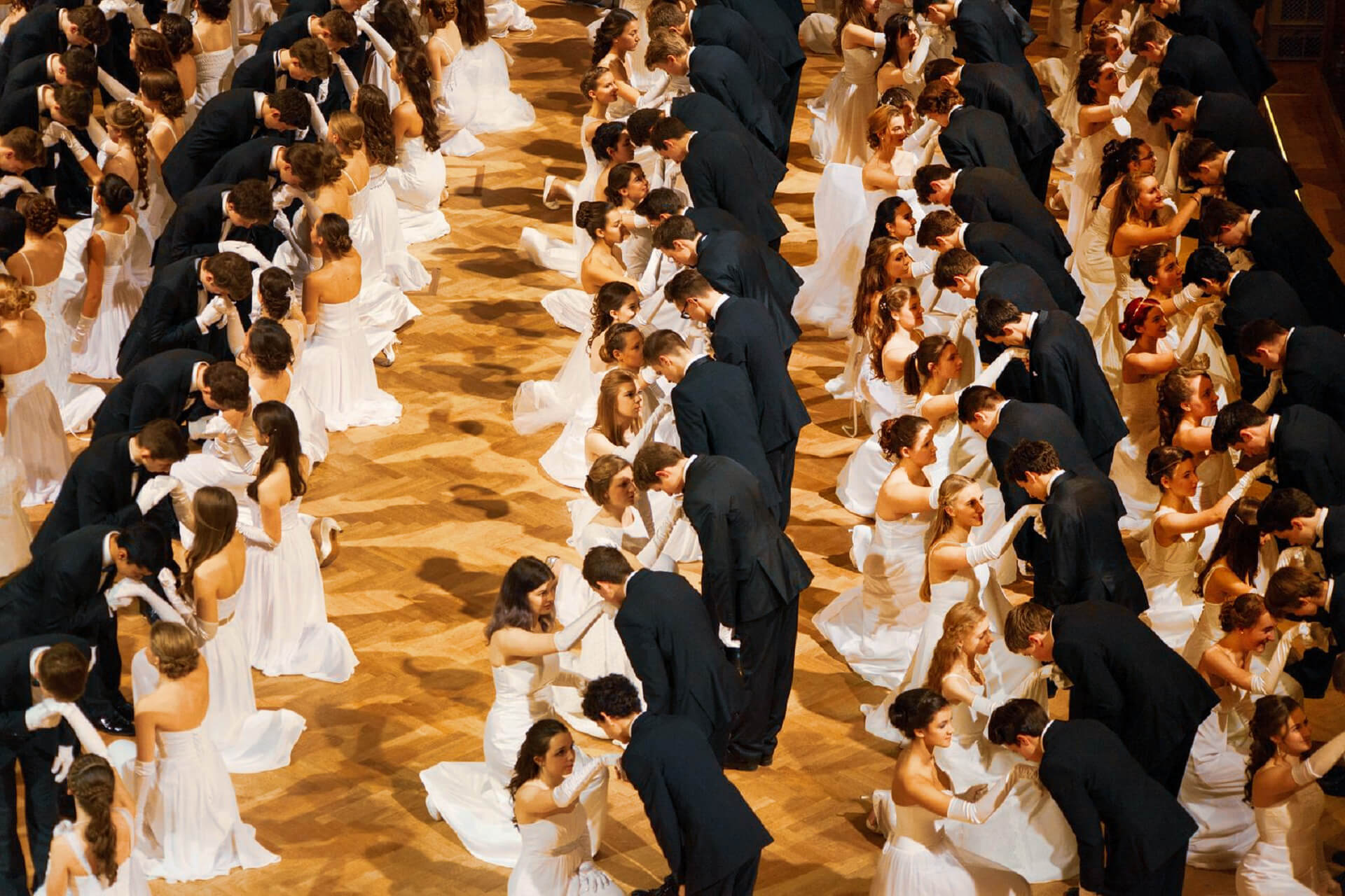 Learn waltz in Vienna