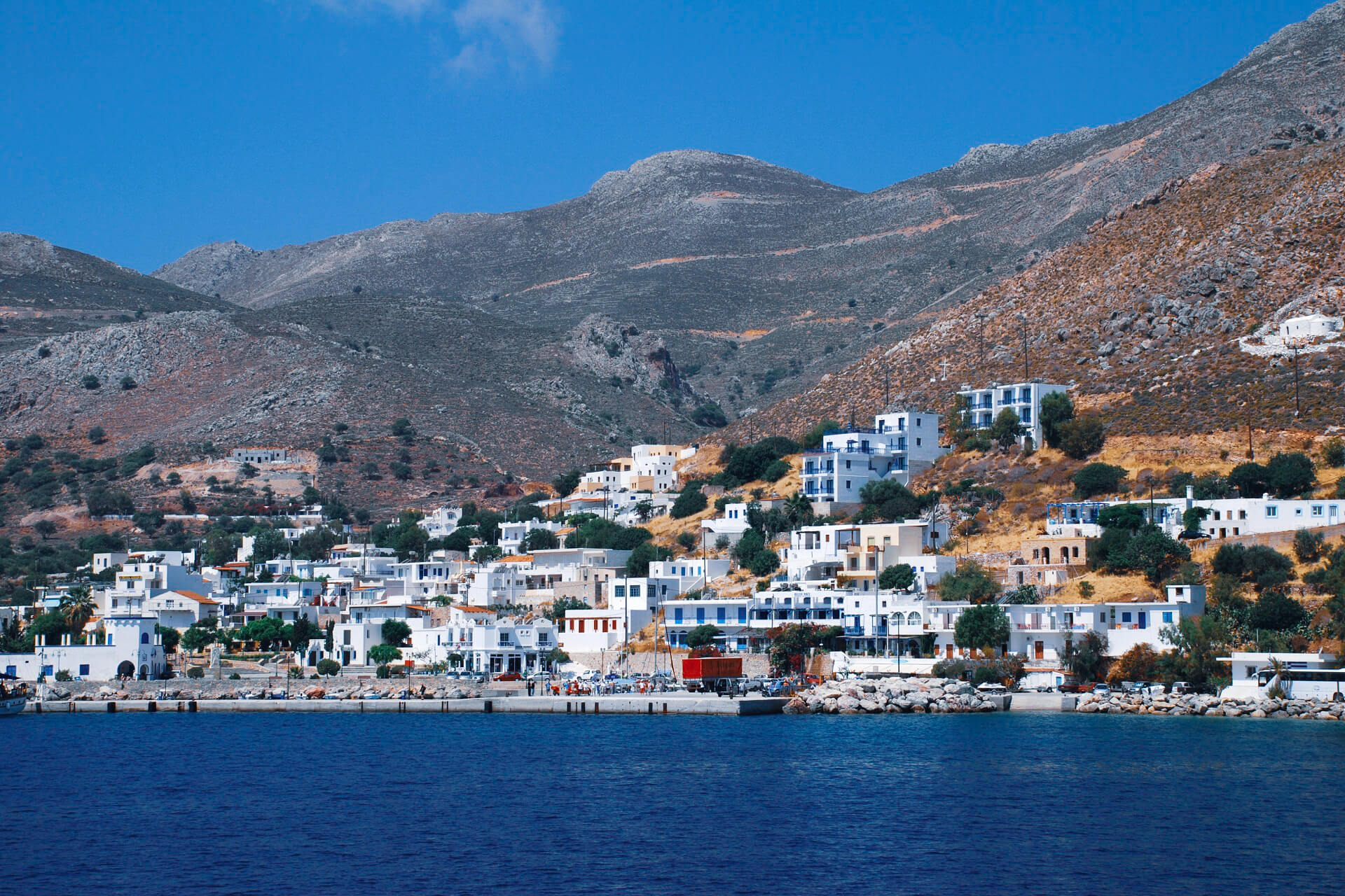 The island of TILOS is the best island to observe the wild world