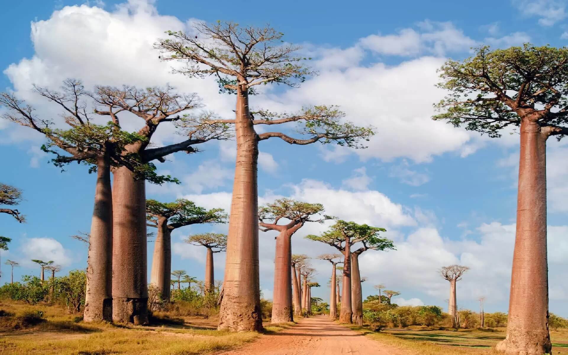 Guia de viagem de Madagascar - Travel S Helper