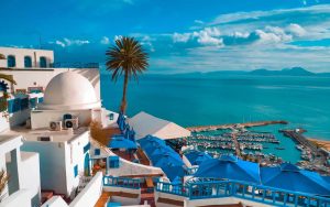 Guide de voyage Tunisie - Travel S Helper