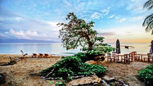 Østtimor rejseguide - Travel S hjælper