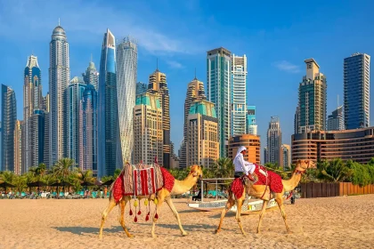 十二个月不同季节与地区的全年旅行路线